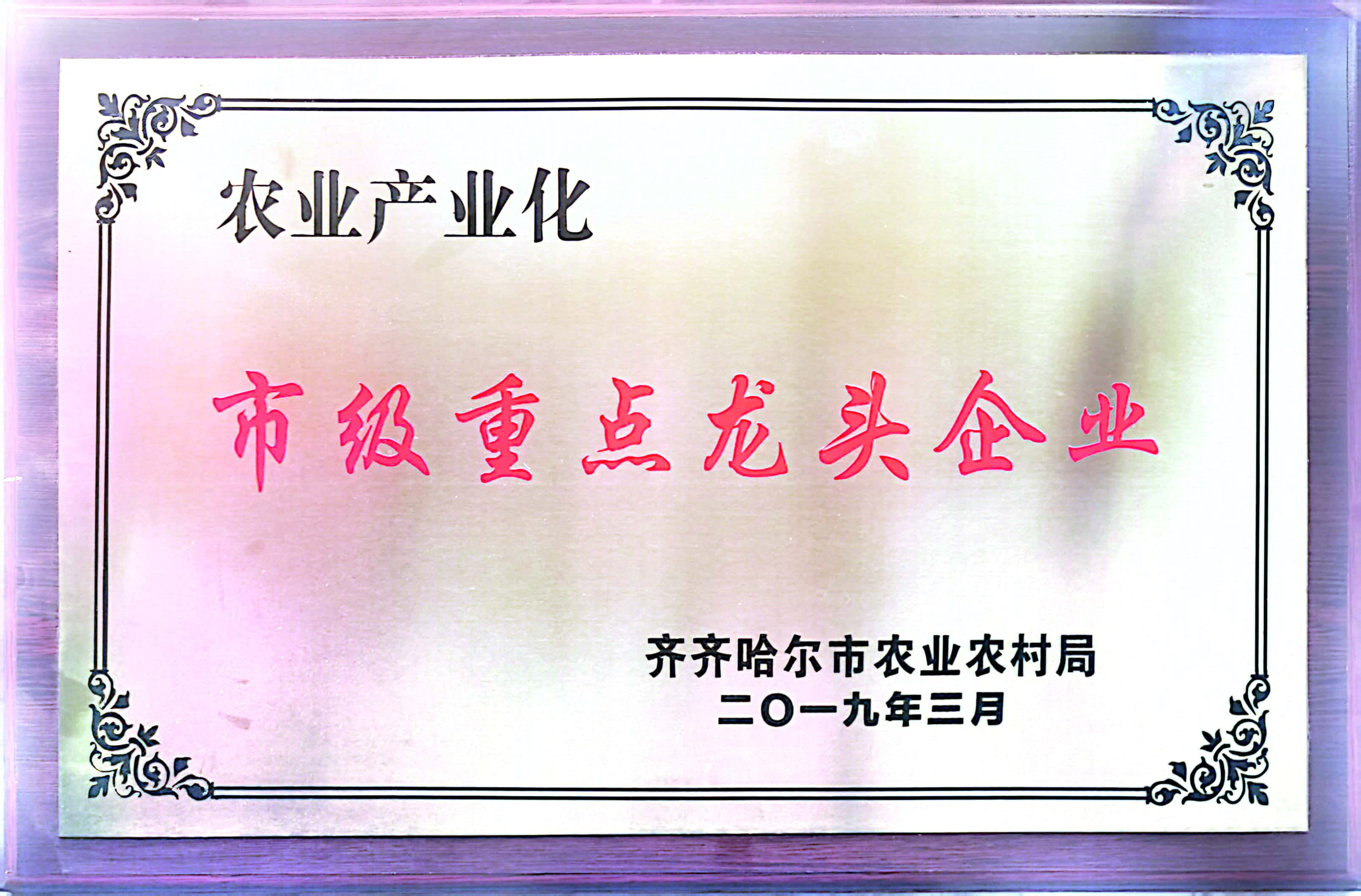 企業(yè)榮譽(yù)